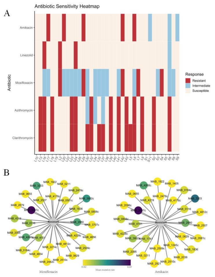 https://cdn.ncbi.nlm.nih.gov/pmc/blobs/519b/12090666/5bce124535f5/12866_2025_4010_Fig7_HTML.jpg