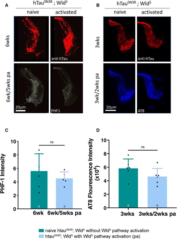 https://cdn.ncbi.nlm.nih.gov/pmc/blobs/519e/10066515/57df96106376/fcad052f6.jpg