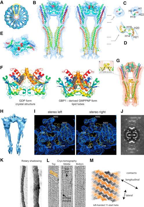 https://cdn.ncbi.nlm.nih.gov/pmc/blobs/519f/2862293/a38aa595d745/gr4.jpg