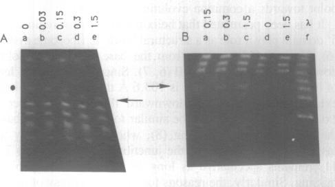 https://cdn.ncbi.nlm.nih.gov/pmc/blobs/519f/334368/2a0f3e1b68a1/nar00231-0227-a.jpg