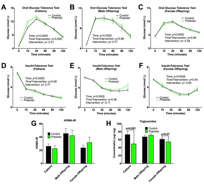 https://cdn.ncbi.nlm.nih.gov/pmc/blobs/51a0/8001975/05117c94bb4f/nutrients-13-00820-g002.jpg