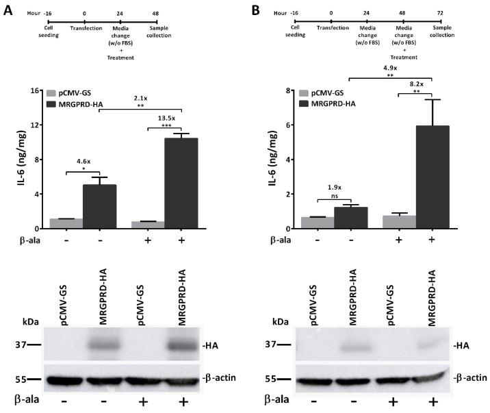 https://cdn.ncbi.nlm.nih.gov/pmc/blobs/51a0/8703779/57ac59e3fbac/ijms-22-13254-g003.jpg