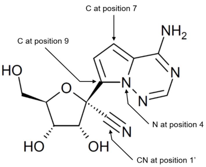 https://cdn.ncbi.nlm.nih.gov/pmc/blobs/51a5/8310262/d36b75bd3673/viruses-13-01369-g001.jpg
