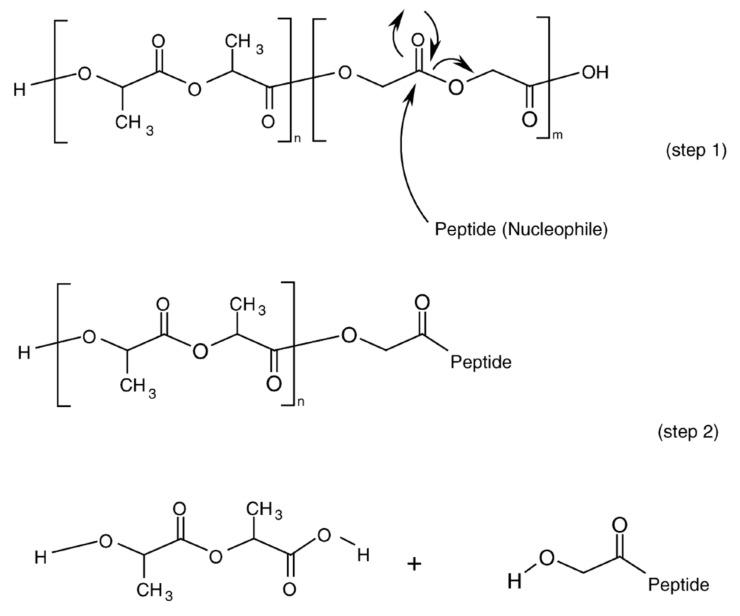 https://cdn.ncbi.nlm.nih.gov/pmc/blobs/51a8/8399039/150aff6250fa/pharmaceutics-13-01313-g006.jpg