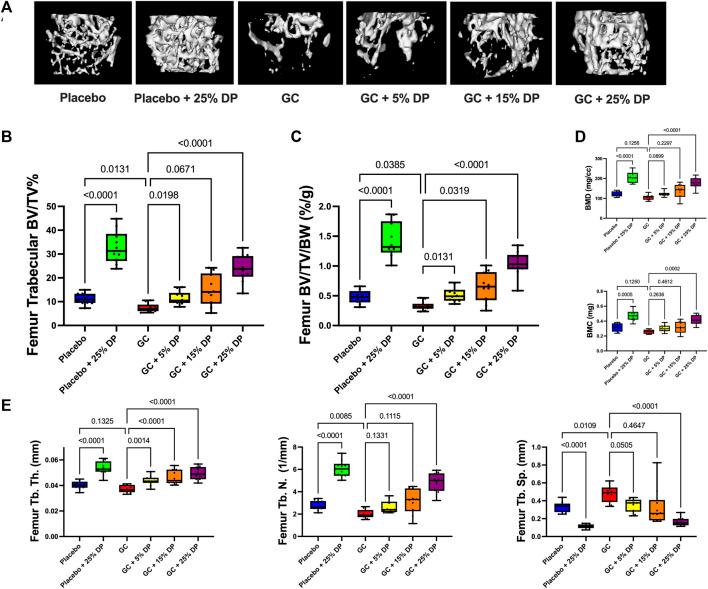 https://cdn.ncbi.nlm.nih.gov/pmc/blobs/51a9/10875082/1f96926b714d/fcell-11-1324649-g002.jpg