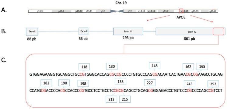 https://cdn.ncbi.nlm.nih.gov/pmc/blobs/51ad/6470812/958636aaf4f8/ijms-20-01394-g001.jpg