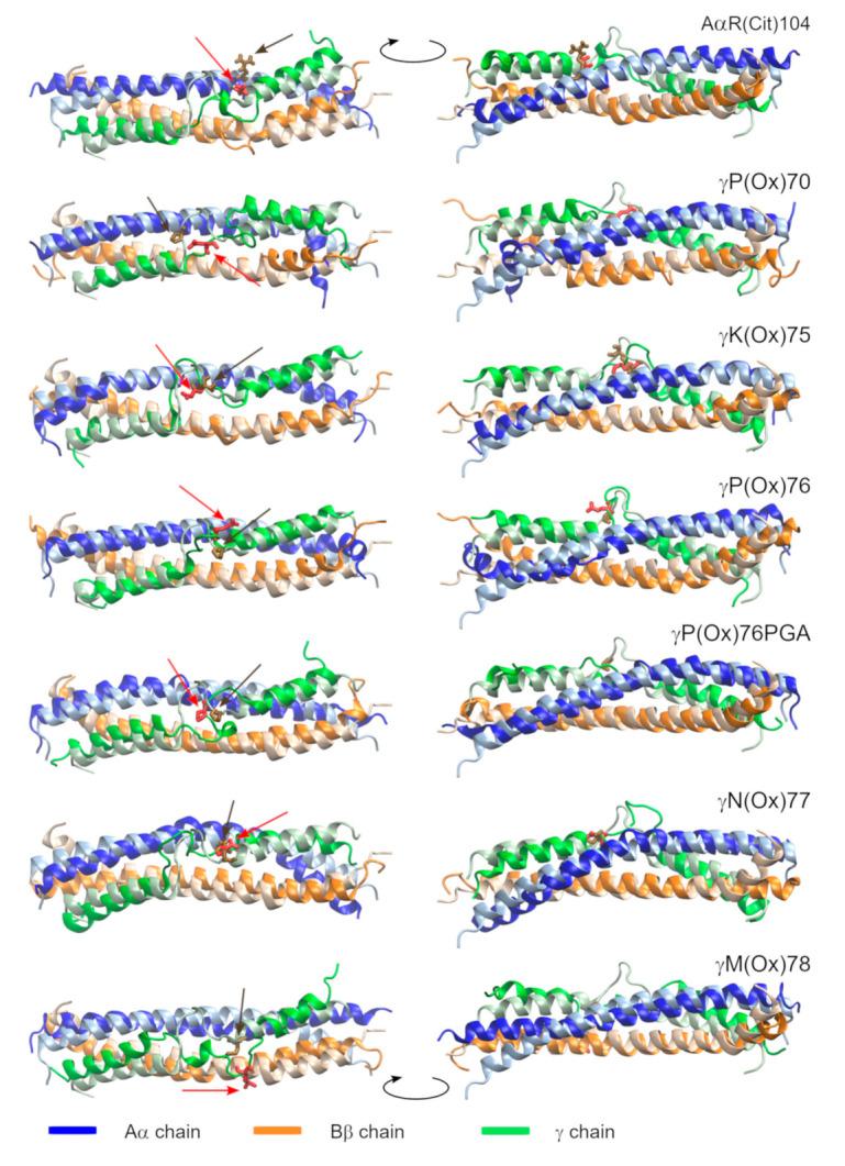 https://cdn.ncbi.nlm.nih.gov/pmc/blobs/51b1/8150326/7ec751865e01/metabolites-11-00307-g003.jpg