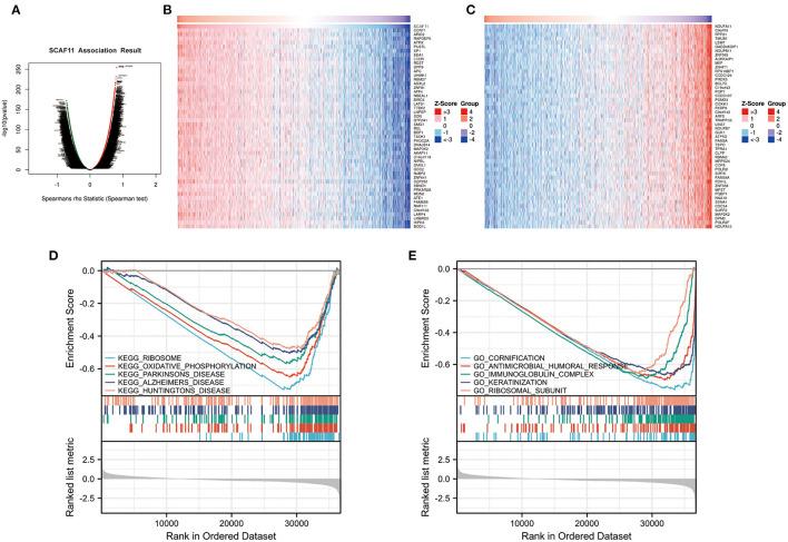 https://cdn.ncbi.nlm.nih.gov/pmc/blobs/51b1/9133489/274a939f7553/fmed-09-882763-g0007.jpg