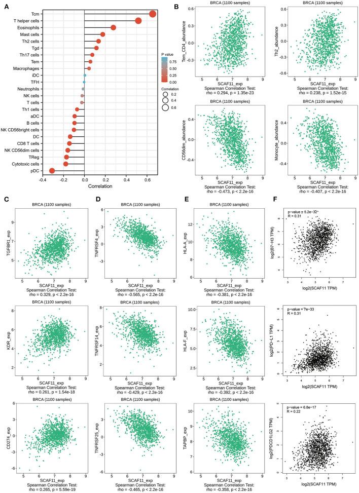 https://cdn.ncbi.nlm.nih.gov/pmc/blobs/51b1/9133489/add531bd4cf3/fmed-09-882763-g0008.jpg