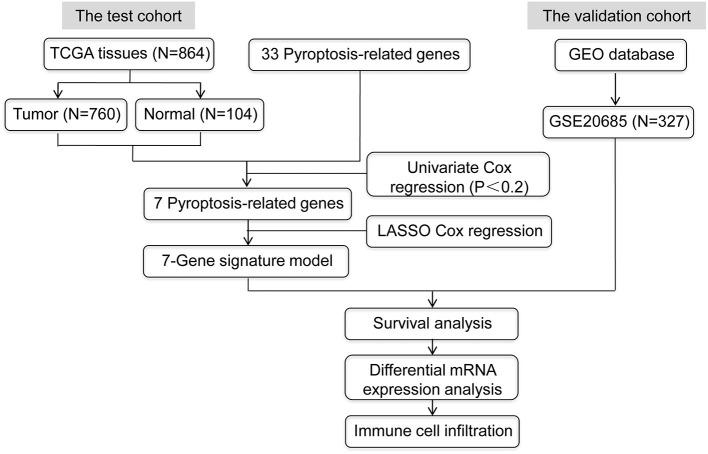 https://cdn.ncbi.nlm.nih.gov/pmc/blobs/51b1/9133489/b5ef3dc2e73a/fmed-09-882763-g0001.jpg