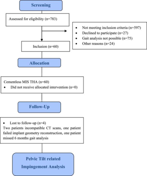 https://cdn.ncbi.nlm.nih.gov/pmc/blobs/51b2/12159588/77bed574018d/JOR-43-1303-g008.jpg