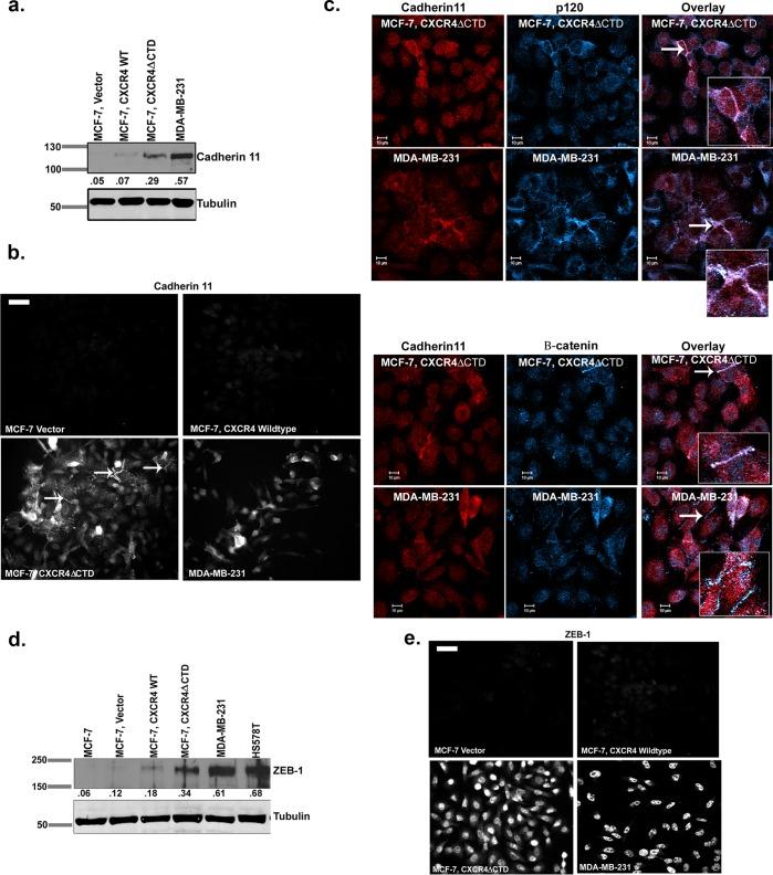https://cdn.ncbi.nlm.nih.gov/pmc/blobs/51b2/3937084/0a2834677202/566fig1.jpg