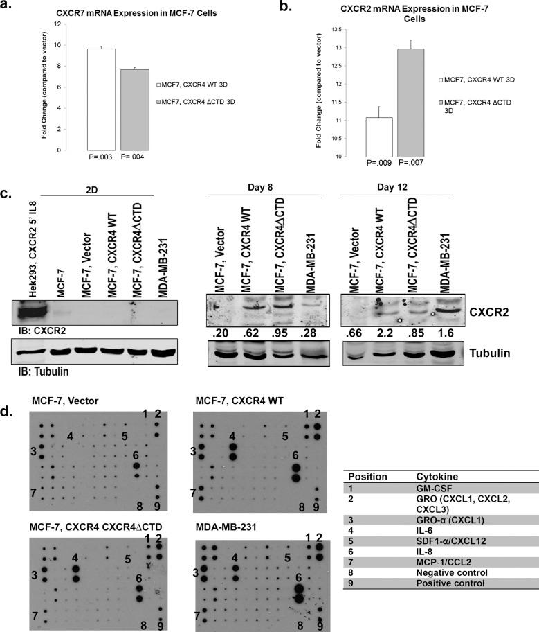 https://cdn.ncbi.nlm.nih.gov/pmc/blobs/51b2/3937084/24927d3e651c/566fig4.jpg