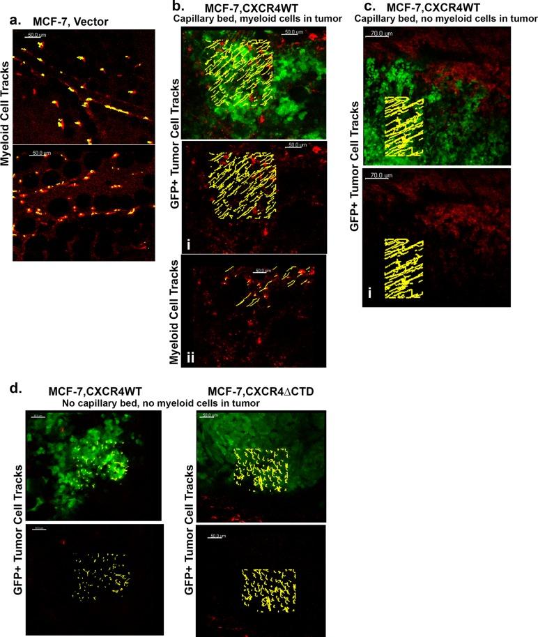 https://cdn.ncbi.nlm.nih.gov/pmc/blobs/51b2/3937084/a9357ec5ade3/566fig7.jpg