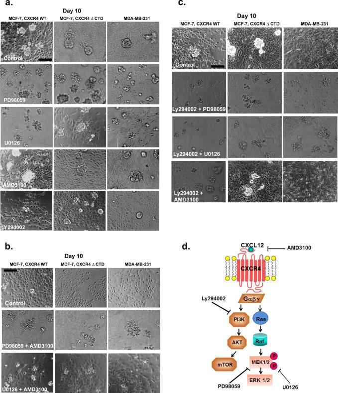 https://cdn.ncbi.nlm.nih.gov/pmc/blobs/51b2/3937084/deaede2fd850/566fig3.jpg