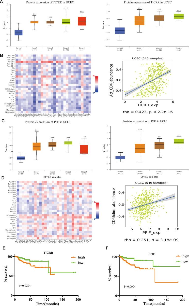 https://cdn.ncbi.nlm.nih.gov/pmc/blobs/51b3/7906164/7cd61cb350d4/aging-13-202417-g008.jpg
