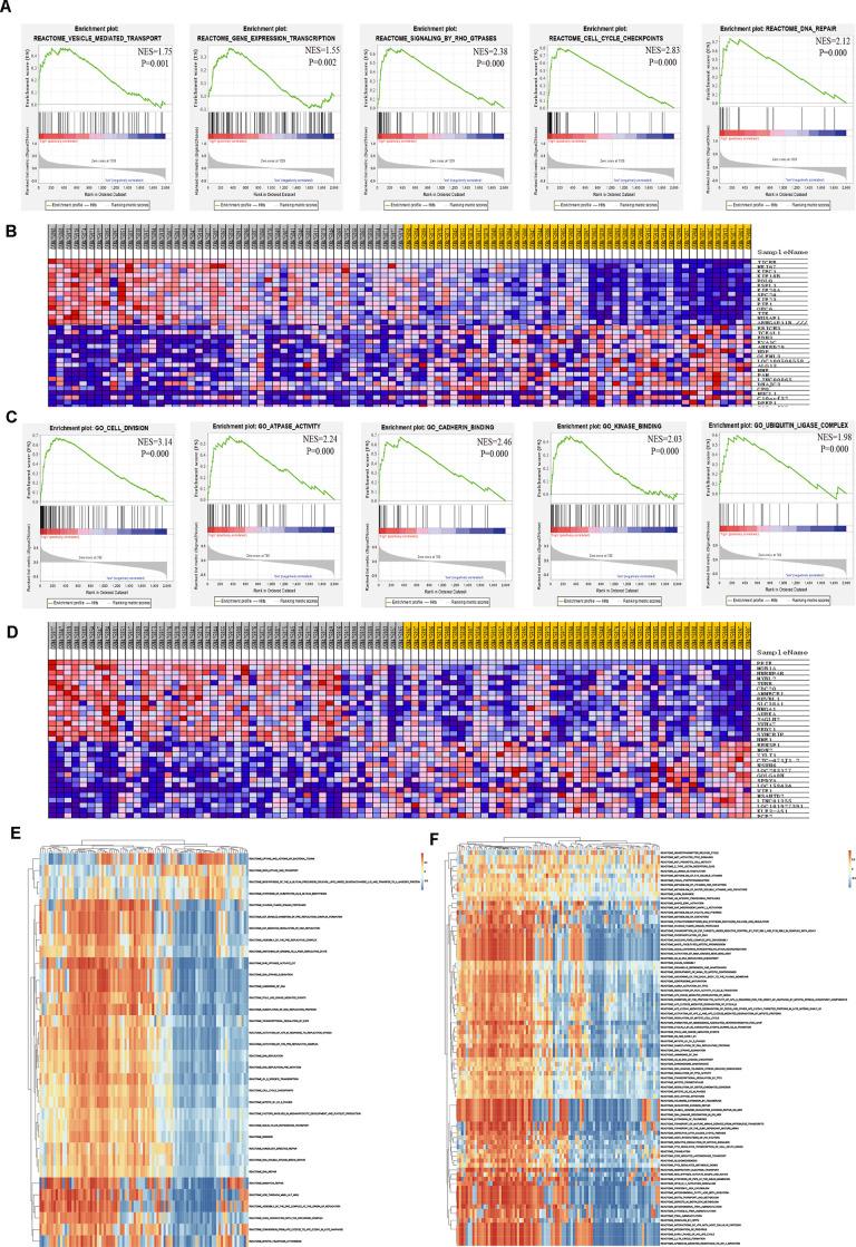 https://cdn.ncbi.nlm.nih.gov/pmc/blobs/51b3/7906164/8ed5b570ebeb/aging-13-202417-g009.jpg