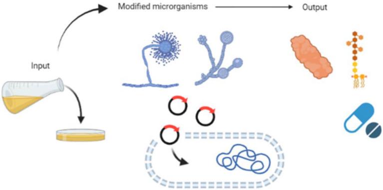 https://cdn.ncbi.nlm.nih.gov/pmc/blobs/51b4/10991178/7df1d725a080/40643_2023_702_Fig4_HTML.jpg