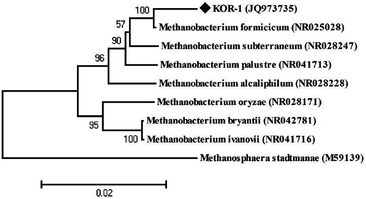 https://cdn.ncbi.nlm.nih.gov/pmc/blobs/51b6/4782095/0c5214b5738d/ajas-29-4-586f3.jpg