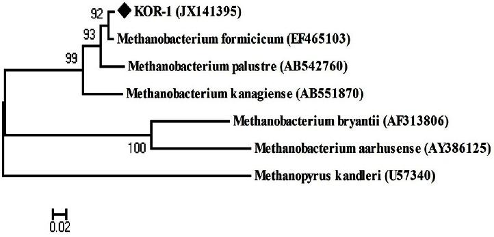 https://cdn.ncbi.nlm.nih.gov/pmc/blobs/51b6/4782095/7f9a542fc7d0/ajas-29-4-586f4.jpg