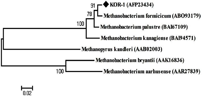 https://cdn.ncbi.nlm.nih.gov/pmc/blobs/51b6/4782095/b4f3430278f9/ajas-29-4-586f5.jpg