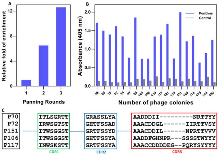 https://cdn.ncbi.nlm.nih.gov/pmc/blobs/51b6/9406126/eefc8a1f796a/biomolecules-12-01080-g003.jpg