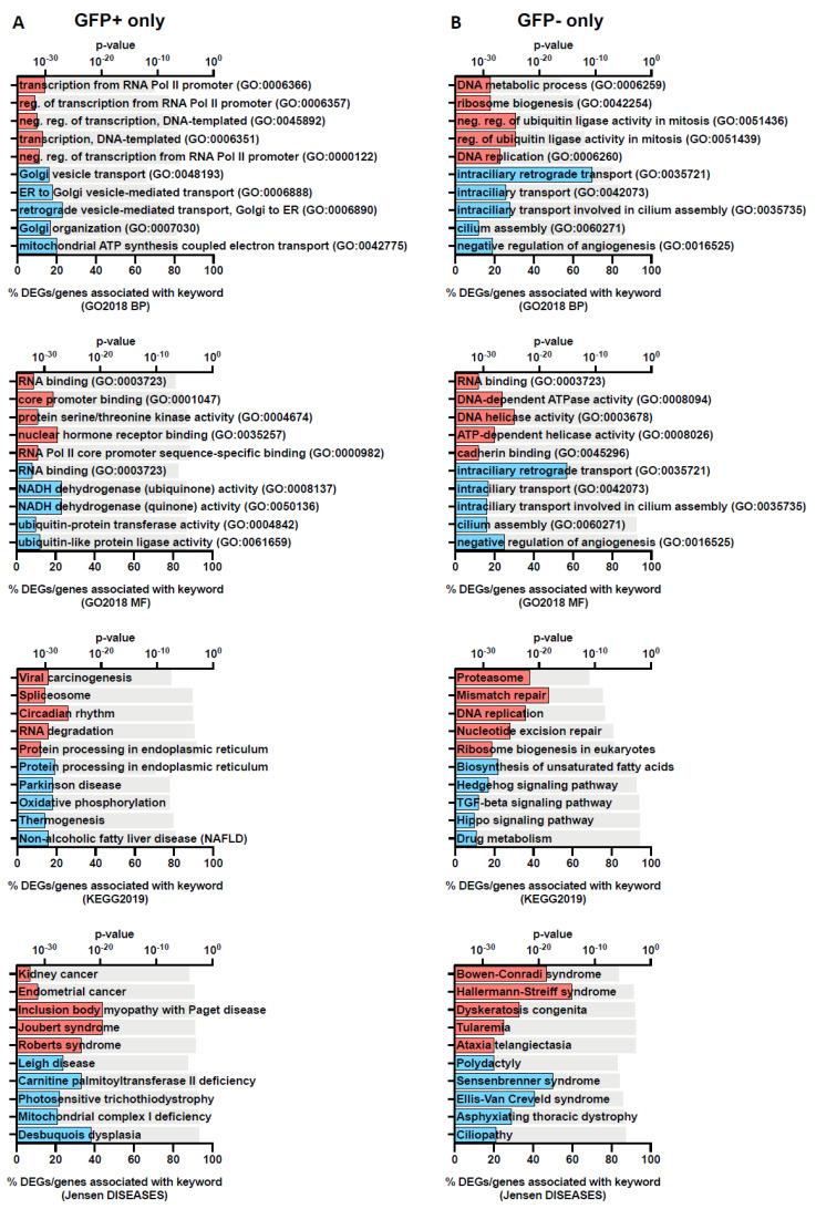 https://cdn.ncbi.nlm.nih.gov/pmc/blobs/51b6/9864161/041aa66aad58/viruses-15-00136-g003.jpg