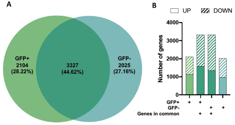 https://cdn.ncbi.nlm.nih.gov/pmc/blobs/51b6/9864161/61adb1696de5/viruses-15-00136-g002.jpg