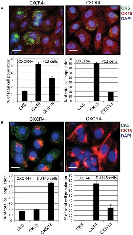 https://cdn.ncbi.nlm.nih.gov/pmc/blobs/51ba/3281066/725ae9825d77/pone.0031226.g003.jpg