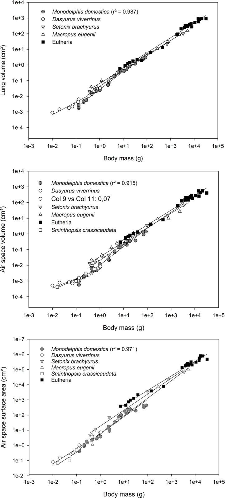 https://cdn.ncbi.nlm.nih.gov/pmc/blobs/51bb/10871483/46b8962d533f/pone.0292482.g003.jpg