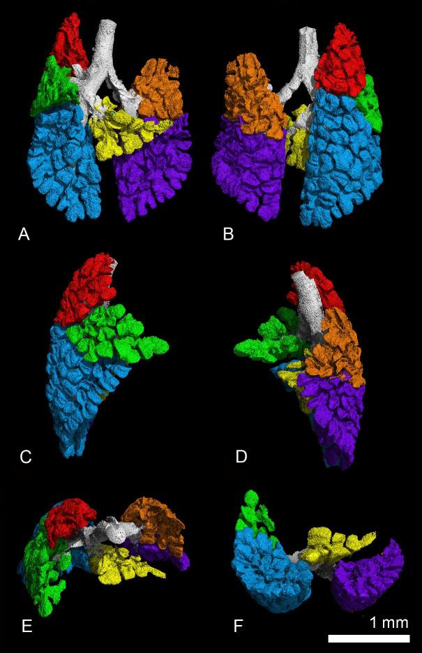 https://cdn.ncbi.nlm.nih.gov/pmc/blobs/51bb/10871483/61bddf4a90da/pone.0292482.g004.jpg