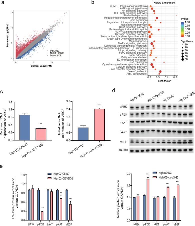 https://cdn.ncbi.nlm.nih.gov/pmc/blobs/51bb/11577886/91f263624f43/12931_2024_3039_Fig4_HTML.jpg