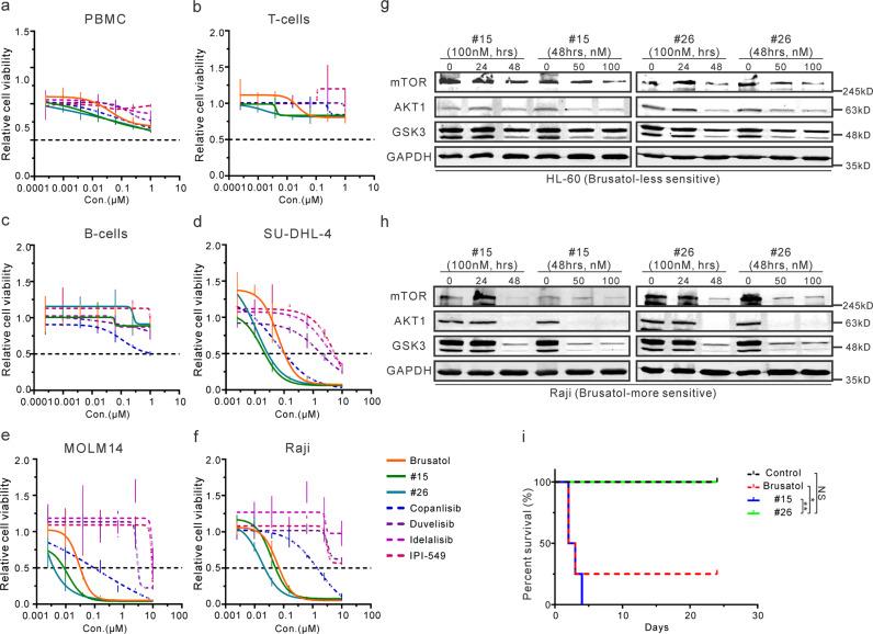 https://cdn.ncbi.nlm.nih.gov/pmc/blobs/51bc/7253423/75844ed7c98d/42003_2020_996_Fig6_HTML.jpg