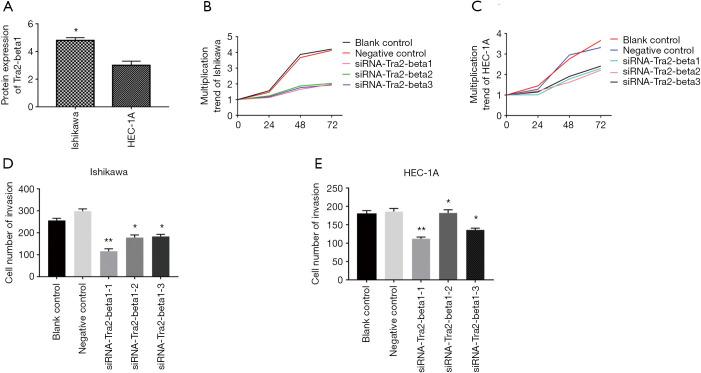 https://cdn.ncbi.nlm.nih.gov/pmc/blobs/51bc/8797671/68a9f78b7709/tcr-09-04-2660-f2.jpg
