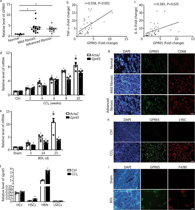 https://cdn.ncbi.nlm.nih.gov/pmc/blobs/51be/10675918/539afd7390b3/40779_2023_494_Fig1_HTML.jpg