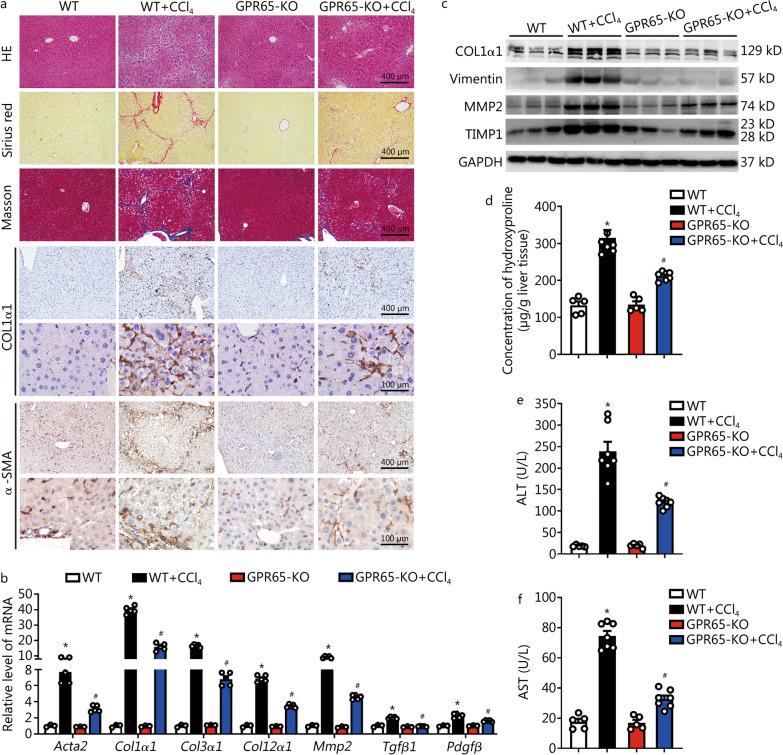 https://cdn.ncbi.nlm.nih.gov/pmc/blobs/51be/10675918/96a7dec9b508/40779_2023_494_Fig3_HTML.jpg
