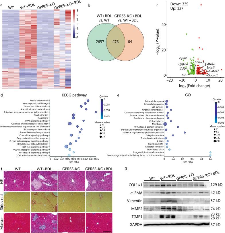 https://cdn.ncbi.nlm.nih.gov/pmc/blobs/51be/10675918/b3ea5ffdd5bb/40779_2023_494_Fig2_HTML.jpg
