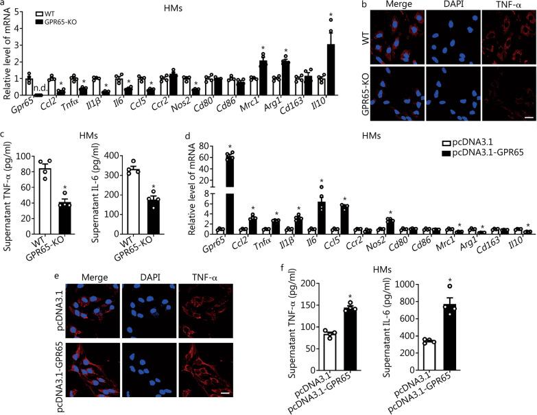 https://cdn.ncbi.nlm.nih.gov/pmc/blobs/51be/10675918/dd98c80a95c0/40779_2023_494_Fig4_HTML.jpg