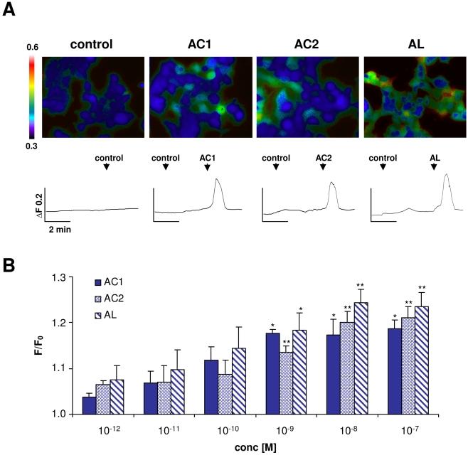 https://cdn.ncbi.nlm.nih.gov/pmc/blobs/51bf/2793307/473b8316ebdc/ijbsv05p0745g03.jpg