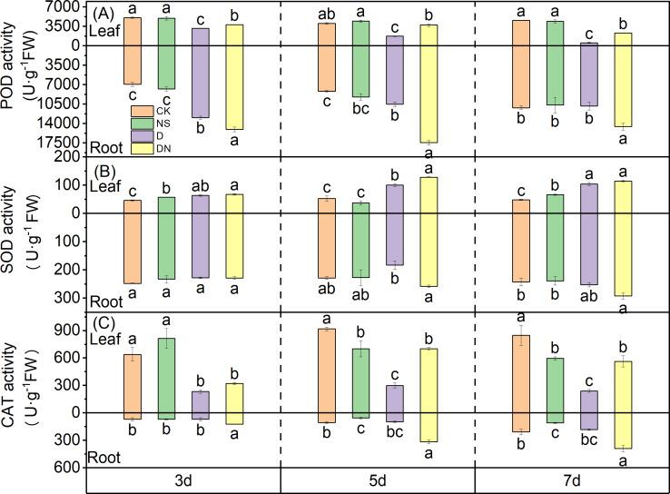 https://cdn.ncbi.nlm.nih.gov/pmc/blobs/51c0/11138516/67da7443e75a/peerj-12-17474-g008.jpg