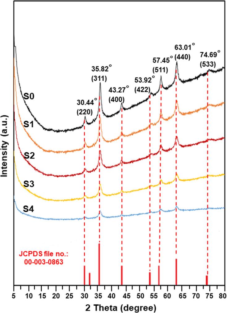 https://cdn.ncbi.nlm.nih.gov/pmc/blobs/51c0/8018451/e63e738a3e11/IJN-16-2515-g0002.jpg