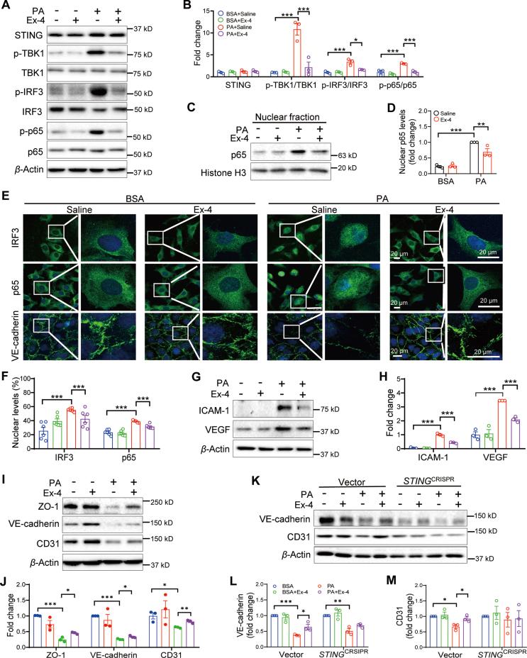 https://cdn.ncbi.nlm.nih.gov/pmc/blobs/51c4/11143538/10b962520185/gr7.jpg