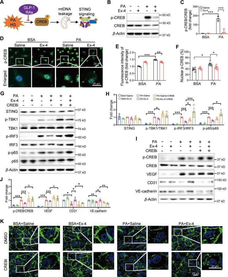 https://cdn.ncbi.nlm.nih.gov/pmc/blobs/51c4/11143538/1a76459ed1c9/gr8.jpg