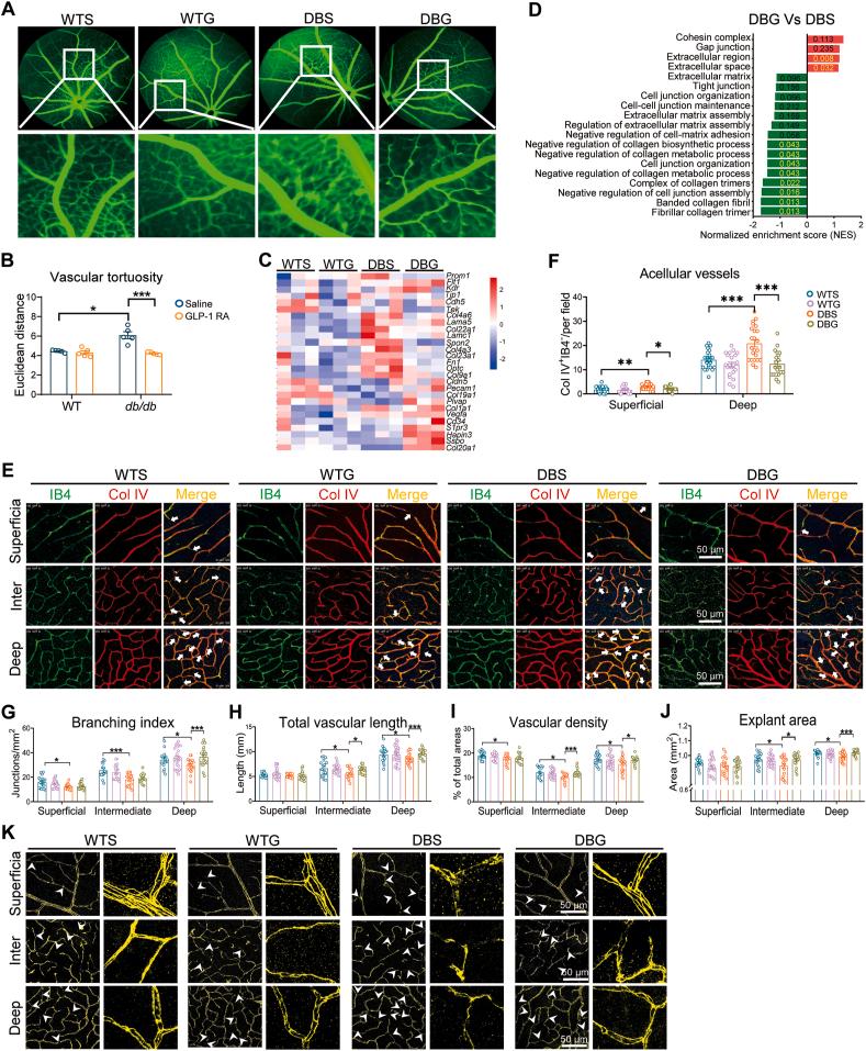 https://cdn.ncbi.nlm.nih.gov/pmc/blobs/51c4/11143538/2374913ecc2b/gr4.jpg