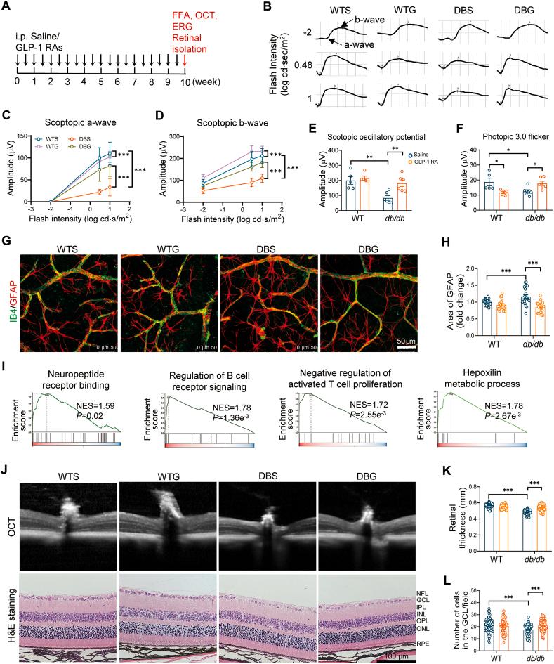 https://cdn.ncbi.nlm.nih.gov/pmc/blobs/51c4/11143538/d1b3551eed4b/gr3.jpg
