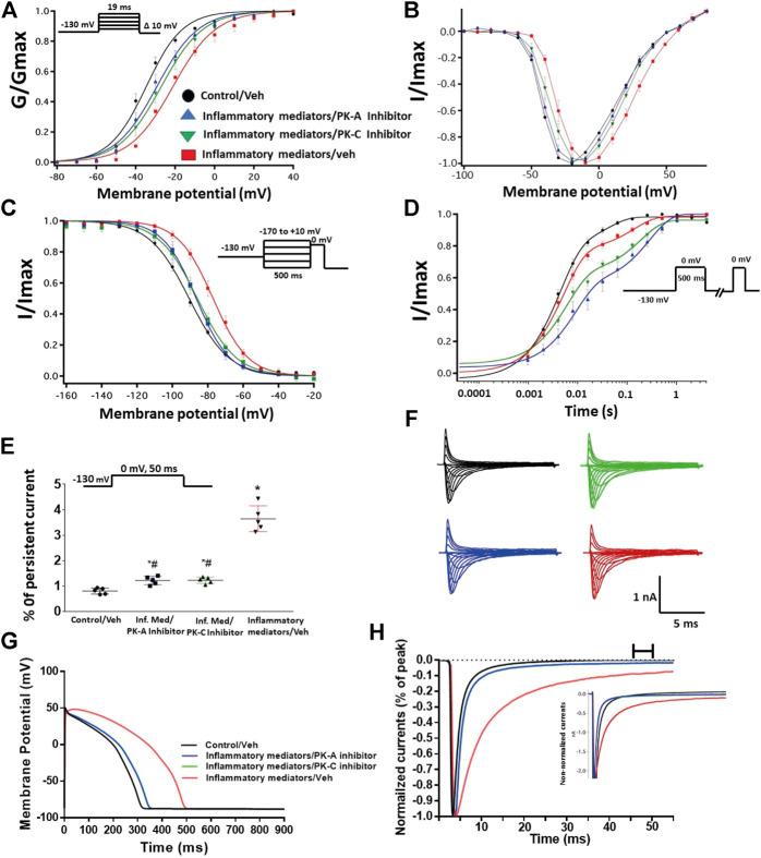 https://cdn.ncbi.nlm.nih.gov/pmc/blobs/51c5/8115126/3461e01f13fd/fphar-12-668657-g003.jpg