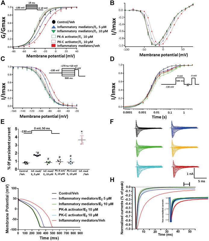 https://cdn.ncbi.nlm.nih.gov/pmc/blobs/51c5/8115126/ab294fc69e7b/fphar-12-668657-g007.jpg