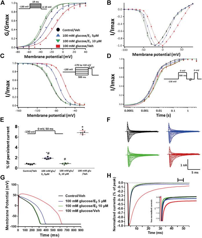 https://cdn.ncbi.nlm.nih.gov/pmc/blobs/51c5/8115126/ced687639763/fphar-12-668657-g006.jpg