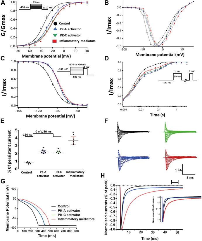 https://cdn.ncbi.nlm.nih.gov/pmc/blobs/51c5/8115126/d2f9c71c91a2/fphar-12-668657-g002.jpg