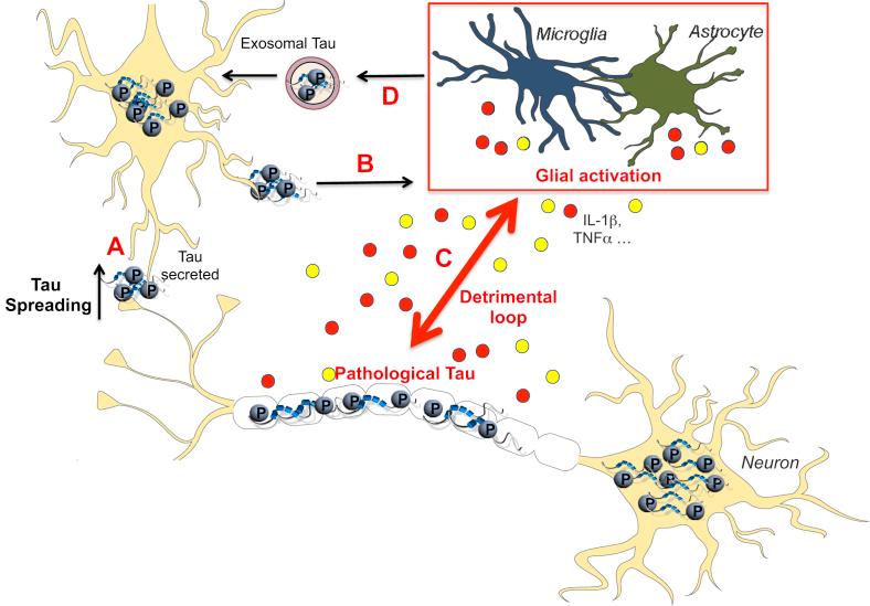 https://cdn.ncbi.nlm.nih.gov/pmc/blobs/51c6/6138617/727ee69a16ed/gr1.jpg